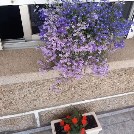 En San Vicente De 아파트 오그로브