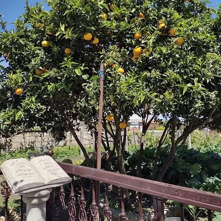 アパート En San Vicente De オ・グローベ