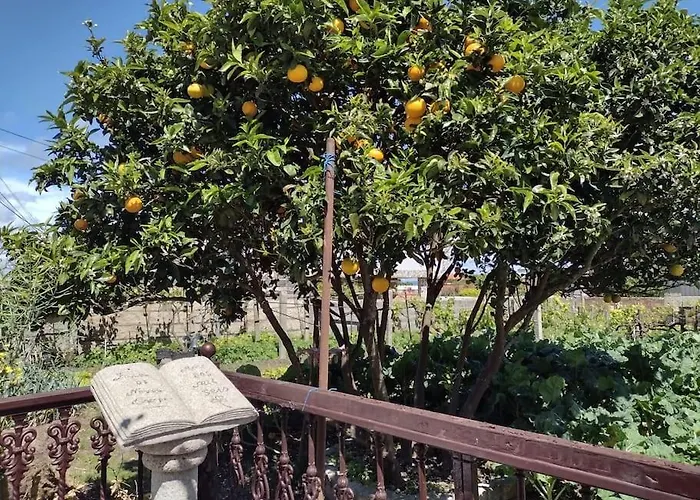 アパート En San Vicente De オ・グローベ